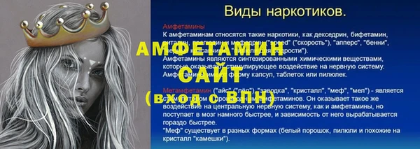 стаф Абаза