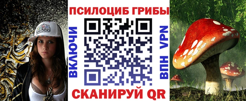 Галлюциногенные грибы Psilocybe МЕГА ссылки Киренск это клад хочу
